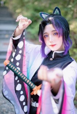 Demon Slayer : Kimetsu no Yaiba Butterfly Ninja@猫猫Hcat (9P)