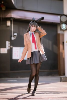 Un jeune garçon à tête de cochon ne rêvera pas de la fille lapin senior Mai Sakurajima@-Zhou Ji est un lapin mignon- (9P)