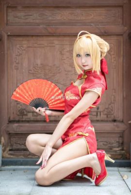 Fate/Grand Order Nero Claudius Cheongsam@Nasubi aubergine verte (9P)