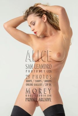 (Morey Studio)17 septembre 2024 – Alice – C12A(29P)