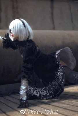 NieR : Automates 2B @小小少宝(9P)