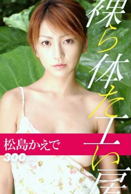 Kaede Matsushima (Livre photo) Atelier corps nu (205P)