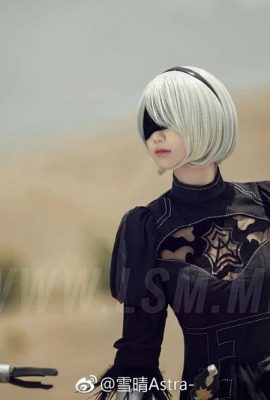 (Neige claire Astra) Yorha 2B