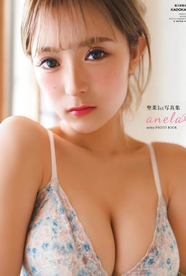 (SEINA Shengcai) Bikini Snow Breast Liberation… Les internautes japonais l'ont félicitée (29P)