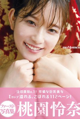 Momozono Reina (Livre photo) Ayun SEXY Actrice Photobook moMoment (555P)